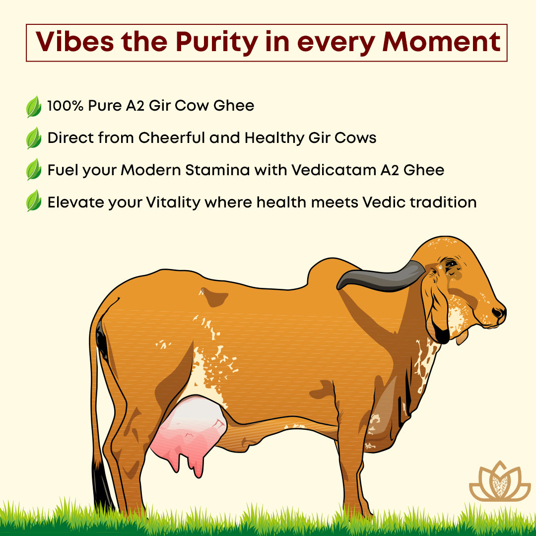 Vedicatam Pure A2 Gir Cow Ghee - 100% Natural and Organic